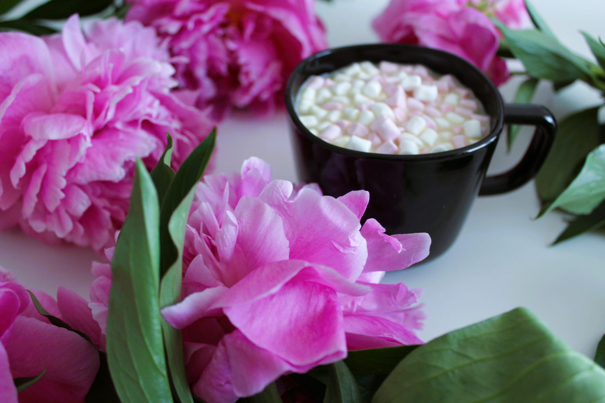 main-meals-little-moments-of-joy